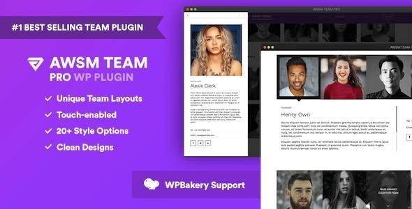 The Team Pro v1.11.1 – Team Showcase WordPress Plugin Download