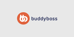 BuddyBoss Wall v.1.3.8  Download