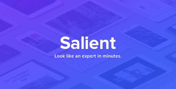 Salient v16.1.3 – Responsive Multi-Purpose WordPress Theme Download