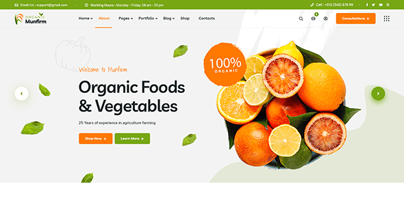 Munfirm v1.0 – Organic Food Store React NextJs Template