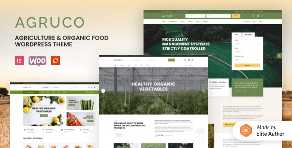 Food WordPress Theme