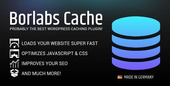 Borlabs Cache – WordPress Caching Plugin v.1.6.3 Download