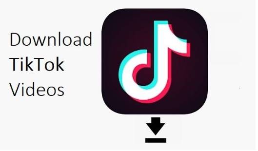 TikTok Video Downloader