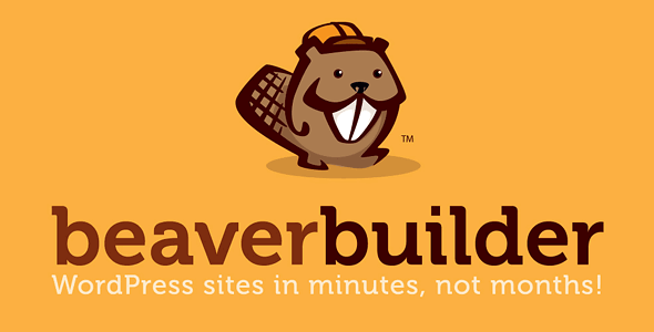 Beaver Builder Professional