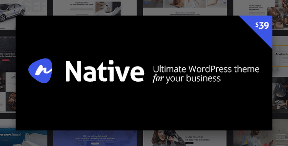 Native v1.6.3 – Stylish Multi-Purpose Creative | WordPress Theme (Updated)