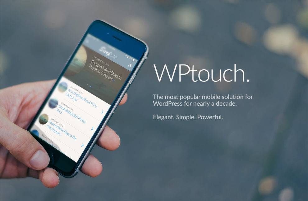 WPtouch pro