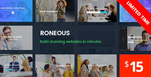 Roneous v2.0.3 Creative Multi-Purpose WordPress Theme Download