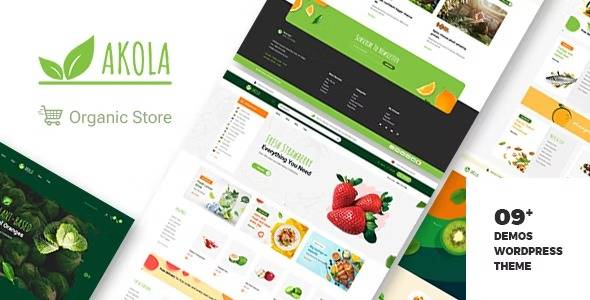 Akola v1.0.8 Organic & Food Store WordPress Theme Download