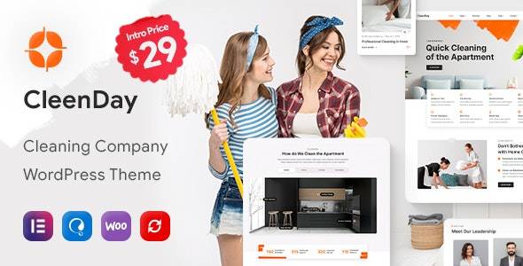 CleenDay Cleaning Company WordPress Theme Download