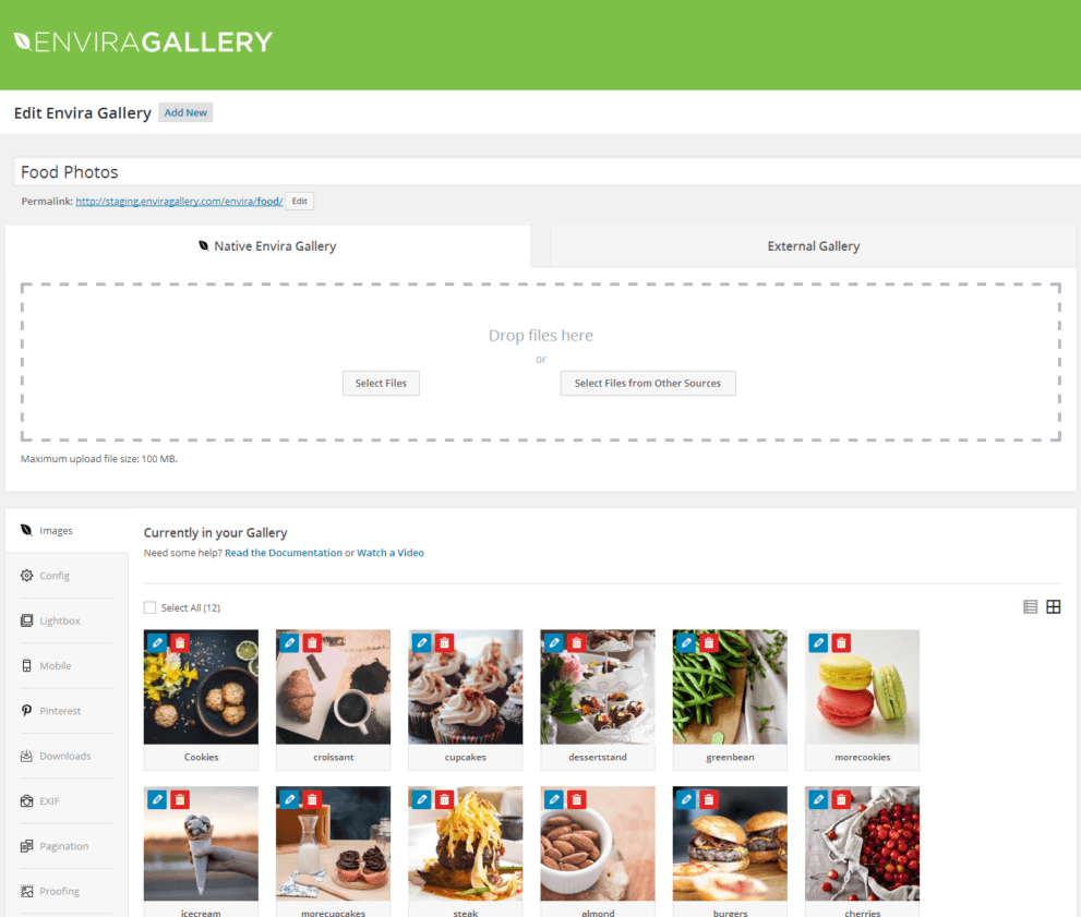 Envira Gallery Pro v1.9.6 + Addons WordPress Plugin Download