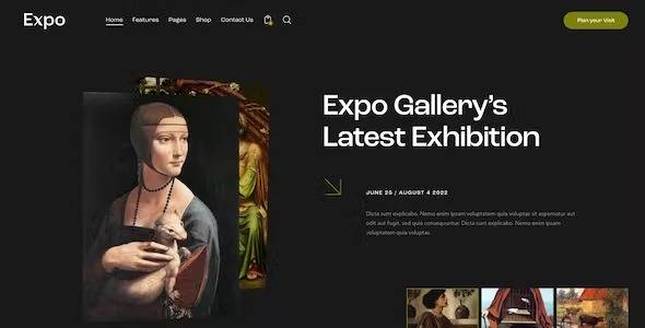 Expo v.1.5 (Updated) Modern Art & Photography Gallery WordPress Theme Download