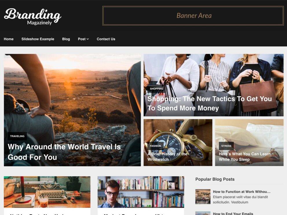 Magazinely v.112.4 (Superb Themes) WordPress Theme Download