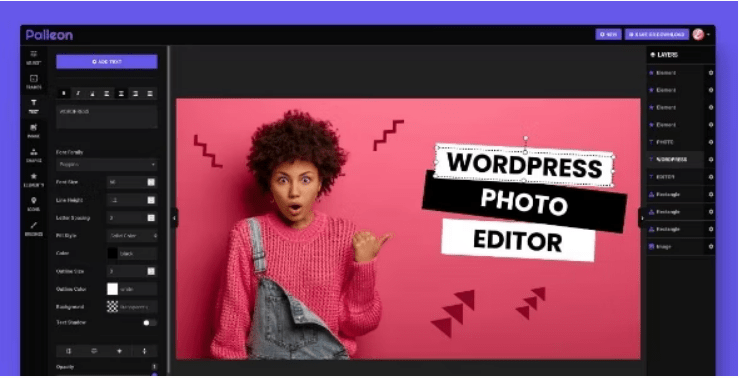 Palleon – WordPress Image Editor v3.6.2 Download