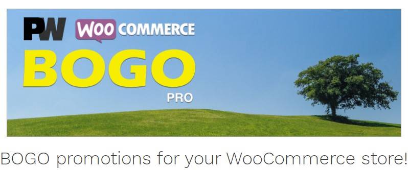 PW WooCommerce BOGO Pro v2.168 (Updated)