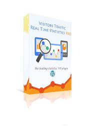 Visitor Traffic Real Time Statistics Pro