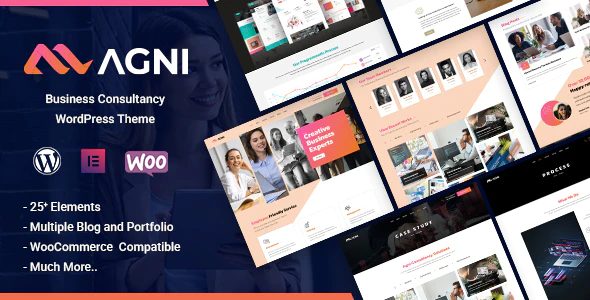 Agni v1.1.0 Business Consulting WordPress Theme Download