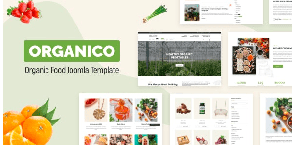 Organico Nutritionist Food & Farm Joomla 4 Template