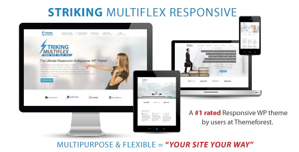 Striking v2.2.1 MultiFlex & Ecommerce Responsive WordPress Theme Download