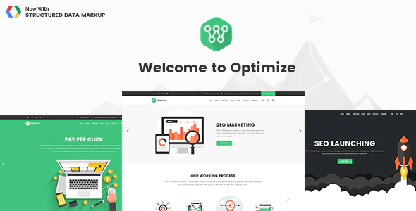 Optimize v.2.1 SEO & Social Media WordPress Theme Download