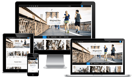 Blogism Pro WordPress Theme v2.3.1 Download