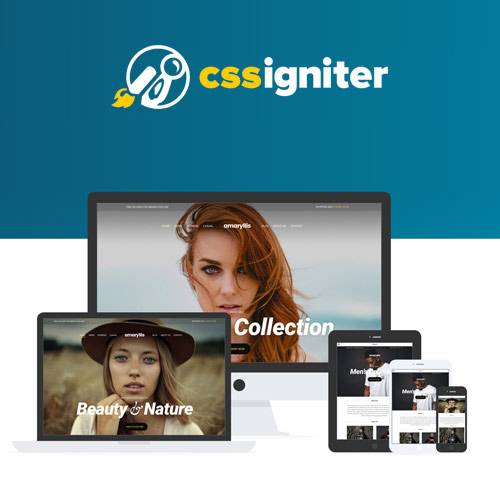 Amaryllis CSS Igniter WordPress Theme v1.2.4 Download