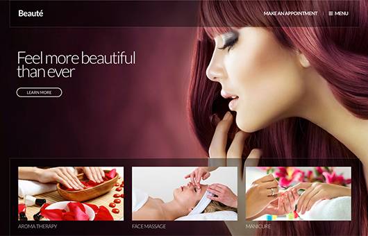 Beaute CSS Igniter WordPress Theme v2.0.5 Download