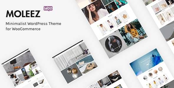 Moleez v2.4.4 – Minimalist WordPress Theme for WooCommerce