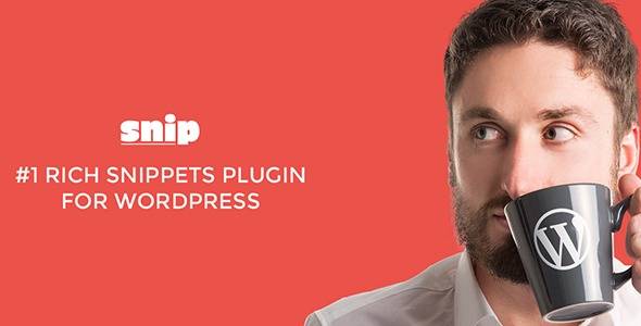 snip structured data plugin for wordpress