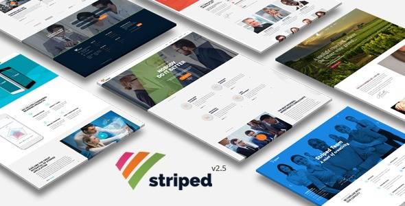 Striped v2.8 – Multipurpose Business and Corporate WordPress Theme Download