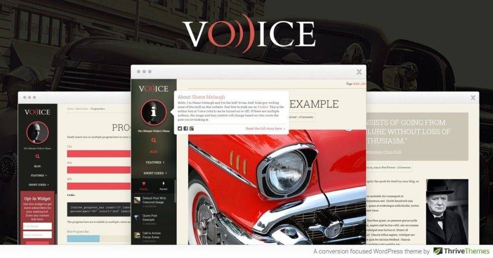 Voice Thrive WordPress Theme v.2.11.1 Download