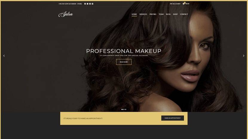 Salon CSSIgniter WordPress Theme v.1.8.7 Download