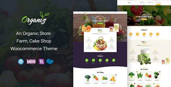 Organiz v2.5 – Organic Store WooCommerce WordPress Theme Download