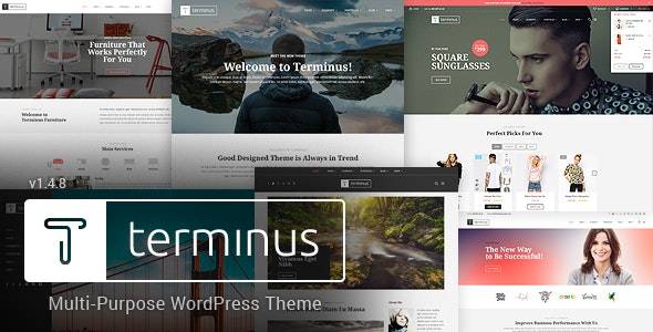 Terminus v.1.4.7 – Multi-Purpose WordPress Theme Download