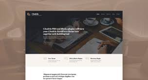 Solitudo wordpress theme