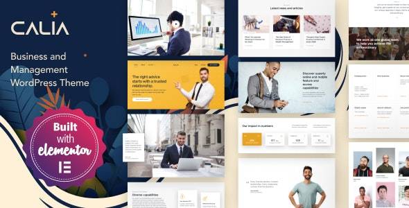 Calia v.1.2.49 – Business and Management WordPress Theme Download