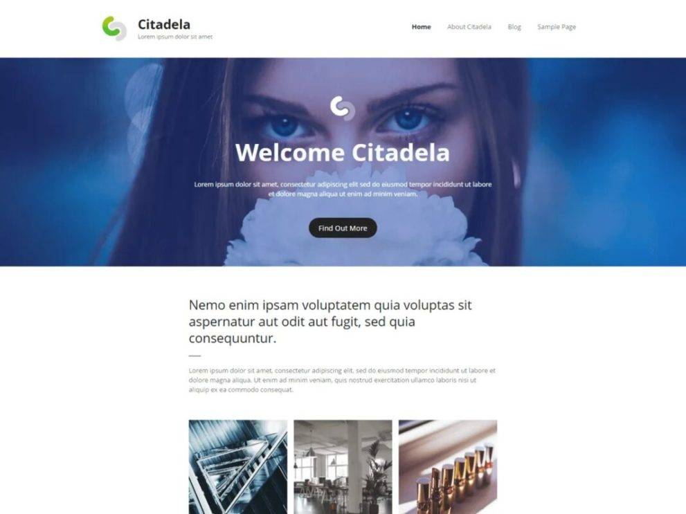 Citadela v1.7.0 Business WordPress Theme + Plugins Download