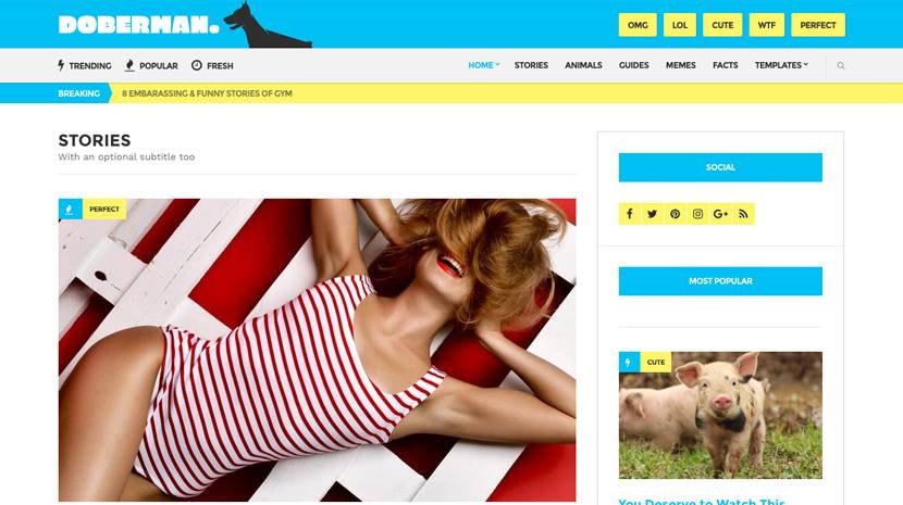 Doberman v1.4.2 WordPress Theme by CSSIgniter Download