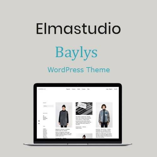 ElmaStudio Baylys WordPress Theme v1.1.6 Download