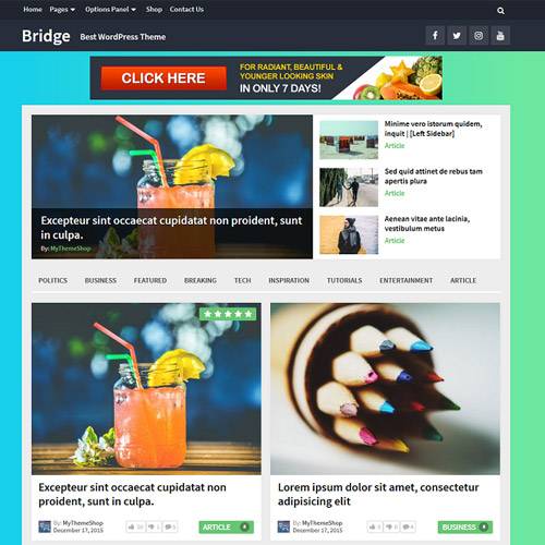 MyThemeShop Bridge WordPress Theme v1.1.5 Download