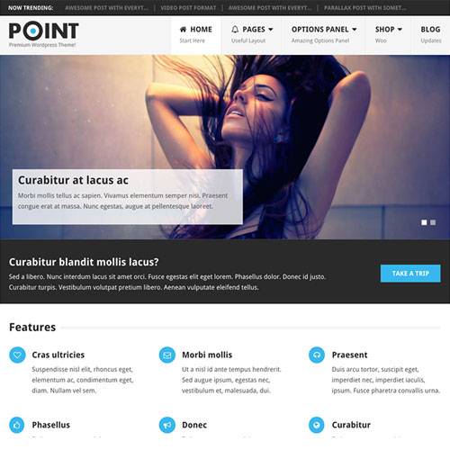 PointPro WordPress Theme