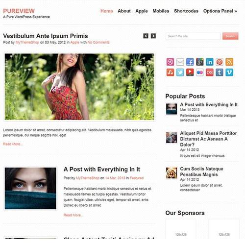 Pureview WordPress Theme