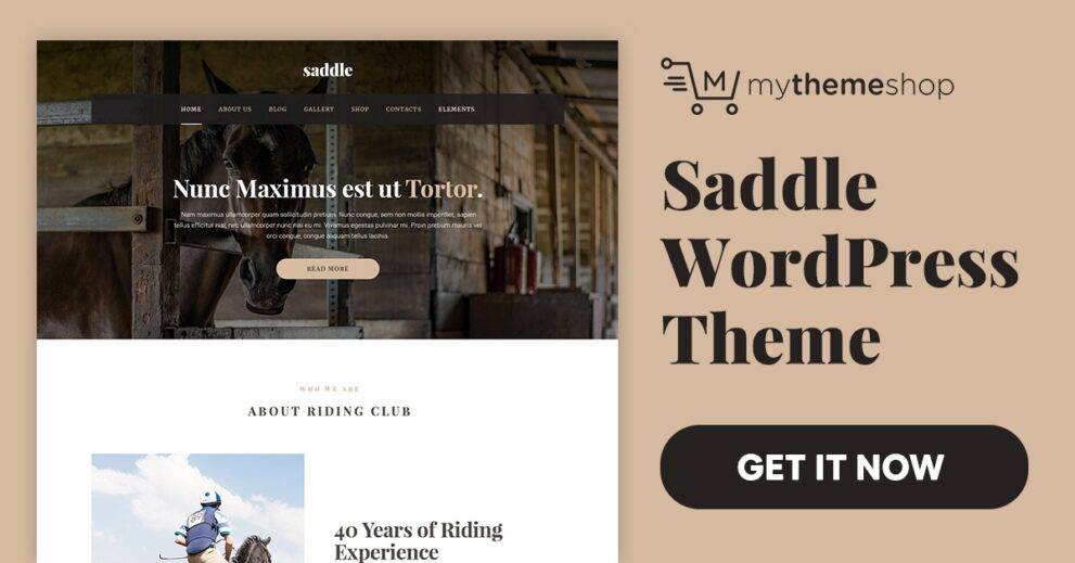 Saddle WordPress Theme