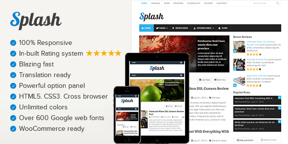 Splash v3.3.10 Blogging WordPress Theme Download