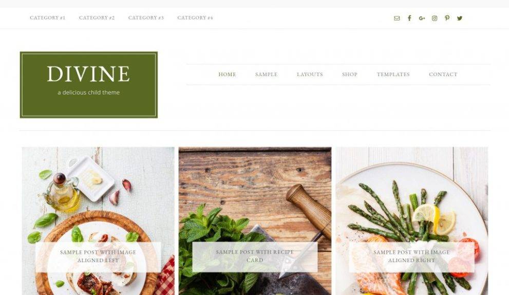 Divine wordpress theme