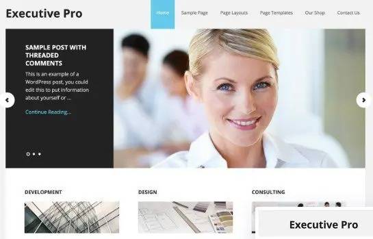 Executive pro wordpress theme