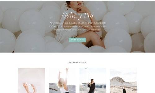 StudioPress Gallery Pro v1.2.0 Genesis WordPress Theme Download