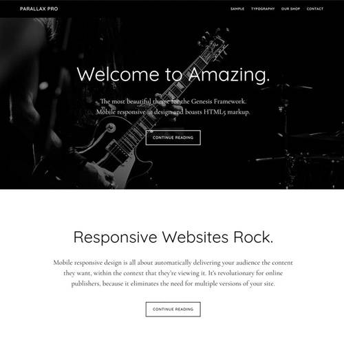 Parallax Pro wordpress theme