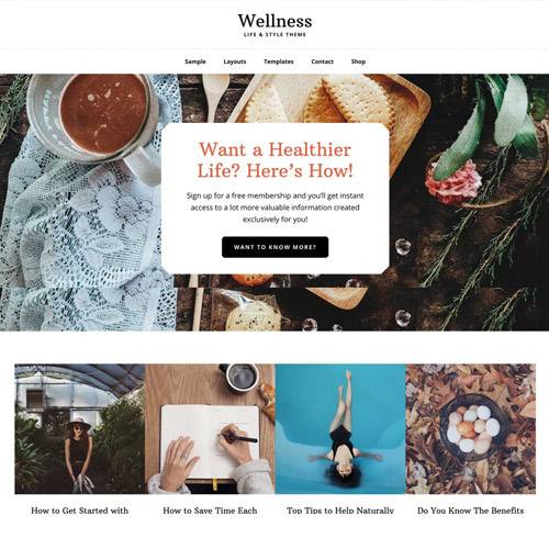 StudioPress Wellness Pro v.1.1.4 Genesis WordPress Theme Download