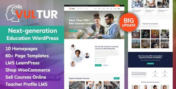 Vultur wordpress theme