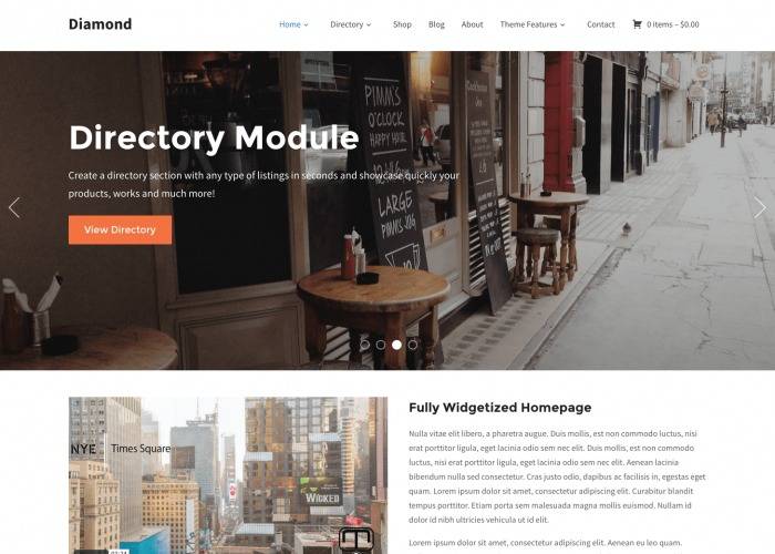 WPZoom Diamond WordPress Theme